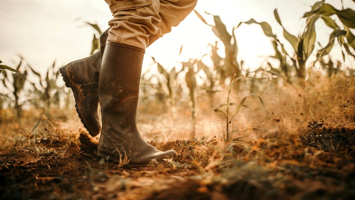 Confrence : Quel avenir pour l'agriculture mdocaine  ?
