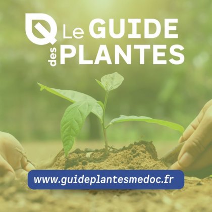 Plantez local et responsable avec le Guide des plantes